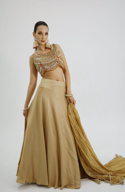 Golden Glow Indo-Western Lehenga