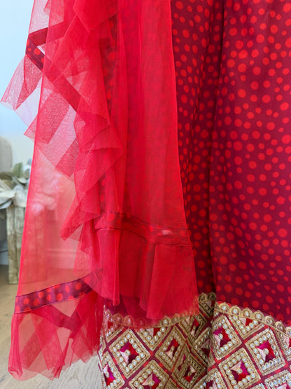 Red & Gold Embroidered pants Set