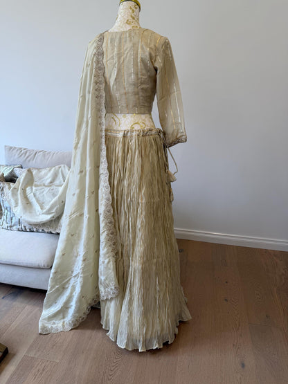 Ivory Tissue Silk Lehenga Set with Gota Detailing